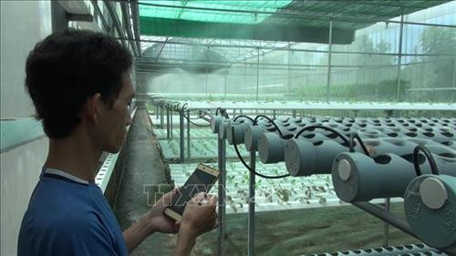 Anh Phan Huy Vũ khởi nghiệp từ trồng rau thủy canh bằng điện thoại thông minh