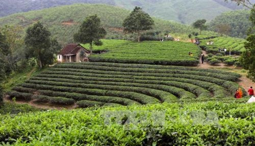 Giới thiệu cơ hội đầu tư, thương mại và du lịch tỉnh Tuyên Quang năm 2017