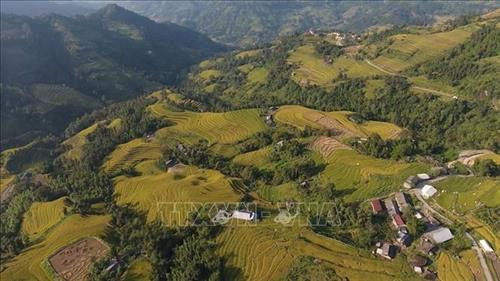  Hướng tới phát triển du lịch bền vững ở Hoàng Su Phì