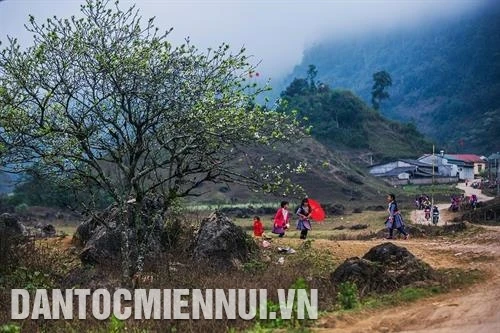 Những điểm du xuân hấp dẫn ở vùng miền núi phía Bắc