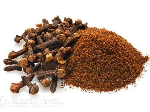 Cây đinh hương dùng khi đau yếu