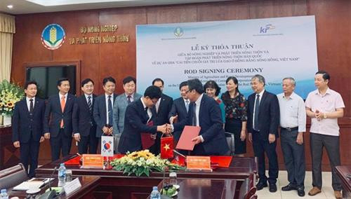 Hàn Quốc hỗ trợ Việt Nam cải tiến chuỗi giá trị lúa gạo