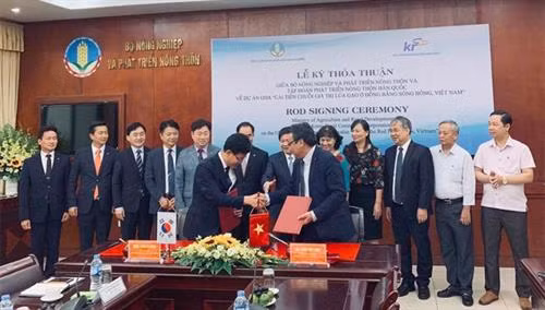 Hàn Quốc hỗ trợ Việt Nam cải tiến chuỗi giá trị lúa gạo