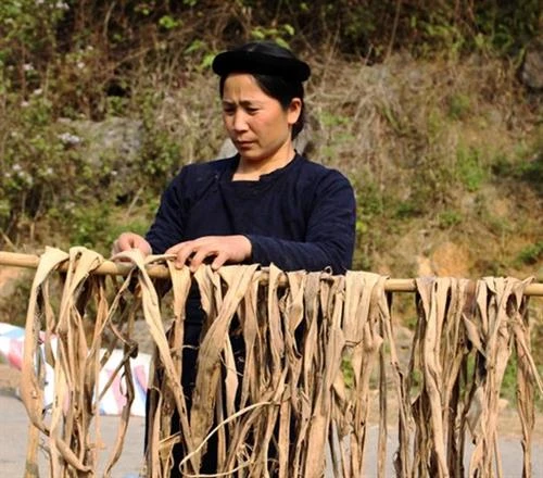 Giấy bản của người Nùng ở Quảng Uyên "đắt hàng"