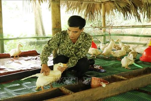 Hiệu quả từ mô hình giảm nghèo tại Thái Nguyên