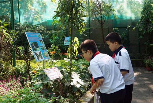 Thành phố Hồ Chí Minh khởi động chương trình tiết học ngoài nhà trường ở bậc tiểu học