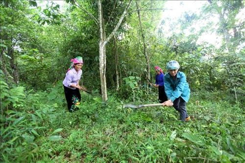Lai Châu nỗ lực thực hiện giảm nghèo bền vững