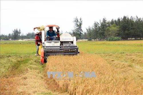 Đột phá sau 10 năm thực hiện nghị quyết về “tam nông” ở Quảng Trị