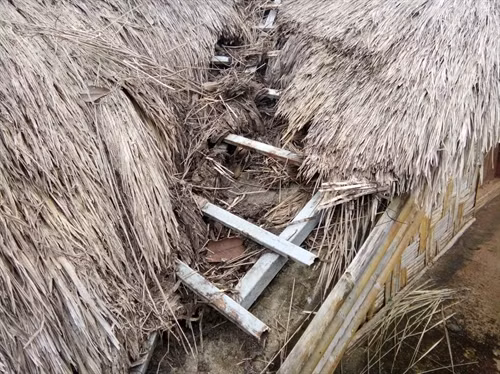 Nhiều biểu tượng, nhà dài Khu bảo tồn văn hóa dân tộc S’tiêng sóc Bom Bo bị hư hại