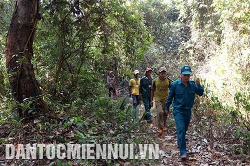 Rừng phòng hộ được bảo vệ nhờ giao khoán cho đồng bào dân tộc