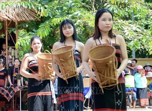 Phục dựng, gìn giữ lễ hội truyền thống của người Cơ Tu ở huyện Hòa Vang