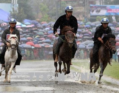 Giải đua ngựa truyền thống Bắc Hà năm 2018