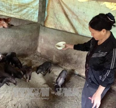 Người dân miền núi Quan Hóa giảm nghèo nhờ Nghị quyết 30a