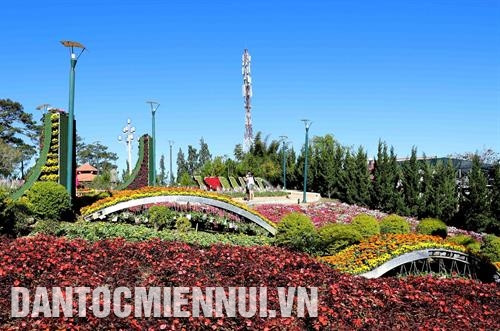 Tôn vinh những giá trị của hoa Đà Lạt