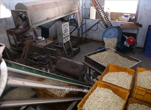 Trên 11.000 tỷ đồng đầu tư vào chế biến sản phẩm nông nghiệp chỉ trong 6 tháng đầu năm 2019