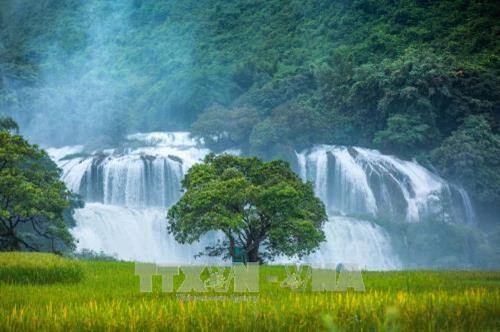 Tỉnh ủy Cao Bằng công bố quyết định thành lập Đảng bộ huyện Trùng Khánh