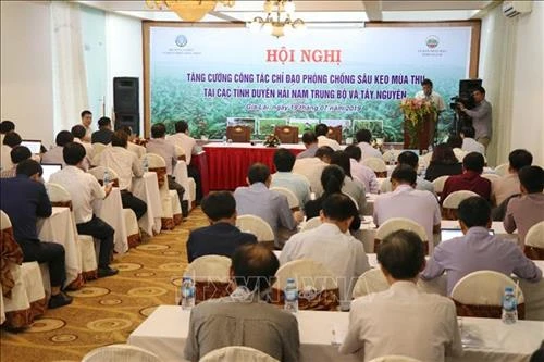 Tìm giải pháp hiệu quả phòng chống sâu keo mùa Thu