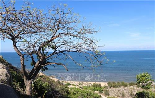 Phát triển du lịch sinh thái bền vững Vườn Quốc gia Núi Chúa