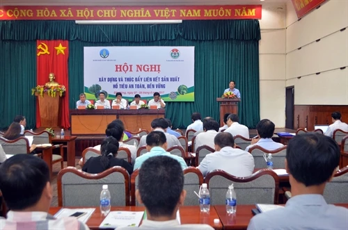 Sẽ cấp mã số vùng trồng hồ tiêu