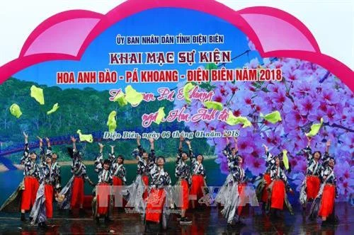 Khai mạc sự kiện Hoa Anh đào – Pá Khoang – Điện Biên năm 2018