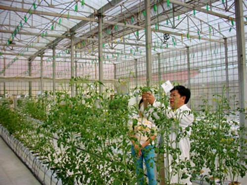 Nhìn lại hiệu quả hoạt động của ngành Nông nghiệp Hà Nội