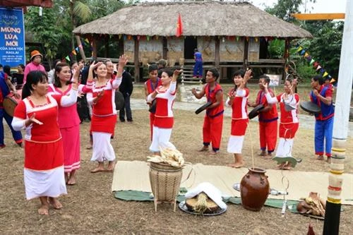 Lễ ăn đầu lúa mới của dân tộc Raglai 