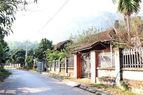  Đồng bào tái định cư Sơn La đón xuân no ấm trên quê hương mới