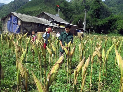 Làm giàu từ hai bàn tay trắng