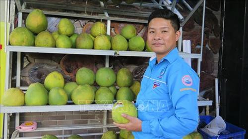Hiệu quả mô hình thanh niên khởi nghiệp xanh tại Khánh Hòa