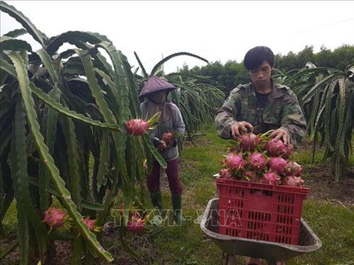 Giải quyết đầu ra cho nông sản - Bài cuối