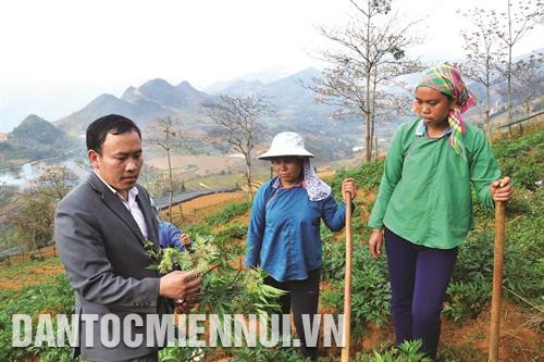 Giàng Seo Châu - Chủ tịch xã người Mông hết lòng vì quê hương