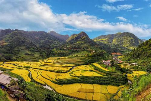 Lễ thu hồn vía cho lúa của người Tày