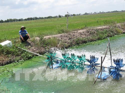 Đồng bằng sông Cửu Long sắp đối mặt đợt hạn, mặn rất nghiêm trọng đầu năm 2020