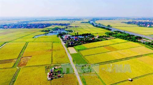 Xu thế phát triển thị trường quyền sử dụng đất nông nghiệp