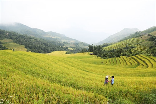Trải nghiệm thú vị trên cung đường Y Tý