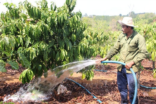 Đắk Nông: Tiếp thêm sức cho các hộ mới thoát nghèo