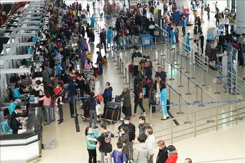 Dịch bệnh do chủng mới virus Corona: Cảnh báo nguy cơ truyền nhiễm qua đường tiêu hóa