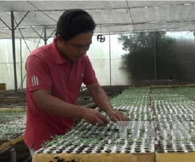 Để kinh tế trang trại phát triển hiệu quả và bền vững