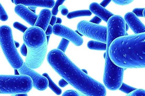 Lợi khuẩn Probiotic không có công dụng trong điều trị cúm dạ dày ở trẻ em