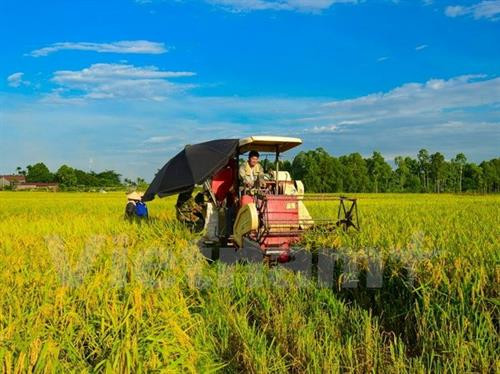Giảm thiệt hại do thời tiết bất lợi và sâu bệnh gây ra