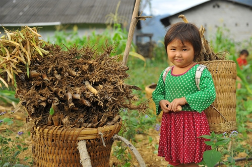 Quẩy tấu - nét đẹp của người dân vùng cao