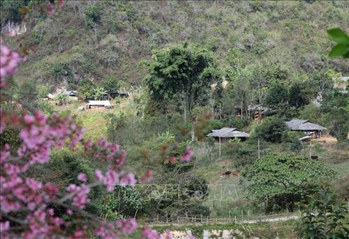 Sắc xuân ở thung lũng Na Ư