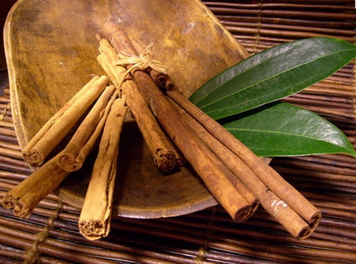 Huyện Trà Bồng (Quảng Ngãi) phát triển mạnh vùng chuyên canh cây quế