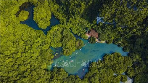 Lễ khai mạc Năm Du lịch Quốc gia 2020 - Hoa Lư, Ninh Bình sẽ diễn ra vào thời điểm thích hợp