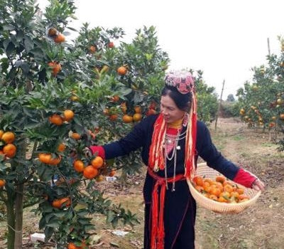 Bắc Giang nâng cao đời sống người dân vùng miền núi và dân tộc thiểu số