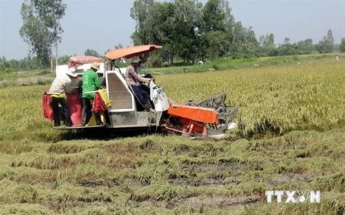 Sóc Trăng chủ động trữ nước ngọt phục vụ lúa và rau màu vụ Hè thu