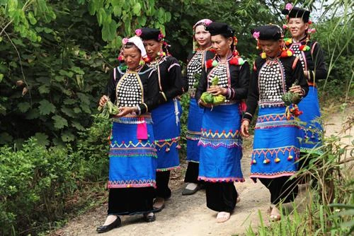 Lễ cúng cơm mới của dân tộc ít người nhất miền Bắc