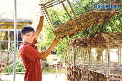 Nghề làm bóng mực ở Đức Lợi