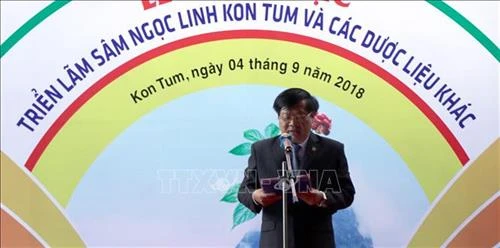Bảo tồn Sâm Ngọc Linh trước nguy cơ cạn kiệt