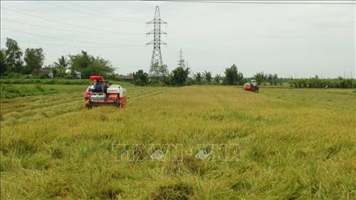 Trà Vinh tập trung phát triển nền sản xuất nông nghiệp sạch